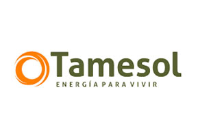 Temesol Energy Çözüm Ortağımız